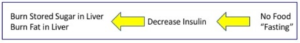 Queima de açúcar armazenado no fígado/queima de gordura no fígado <- diminuição da insulina <- Ausência de comida / jejum  