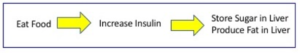 Comida -> aumento da insulina -> armazenamento de açúcar no fígado/produção de gordura no fígado